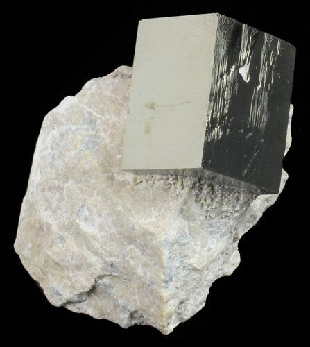 Golden Pyrite Cube In Rock - Navajun, Spain #57772